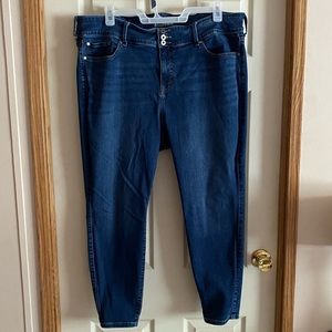 Torrid Skinny Super Soft High Rise Jeggings 24R - Medium Wash